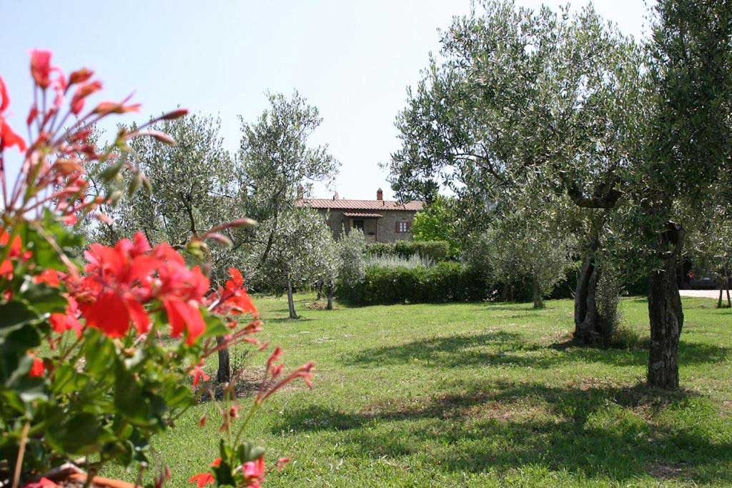 Agriturismo Cortoreggio, photo 3