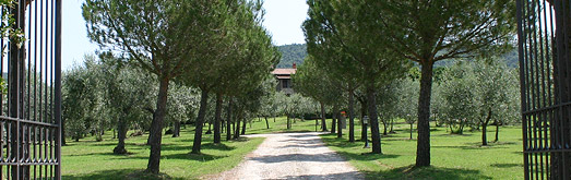 Farmhouse Cortoreggio in Cortona